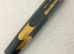SSK エスエスケイ 中学 硬式 バット スカイビート31K SBB2002
